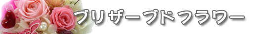�u���U�[�u�h�t�����[